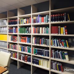 Biblioteka na wymiar